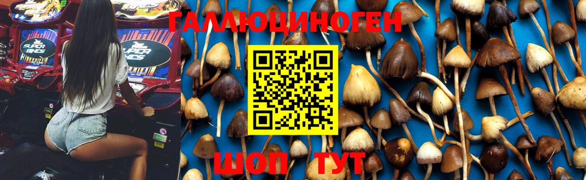Псилоцибиновые грибы Cubensis  Вход с VPN  Псилоцибиновые грибы ЛСД  Таганрог 